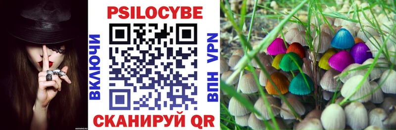 Галлюциногенные грибы мицелий  Инта 